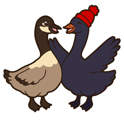 Ganzen ontmoeten elkaar